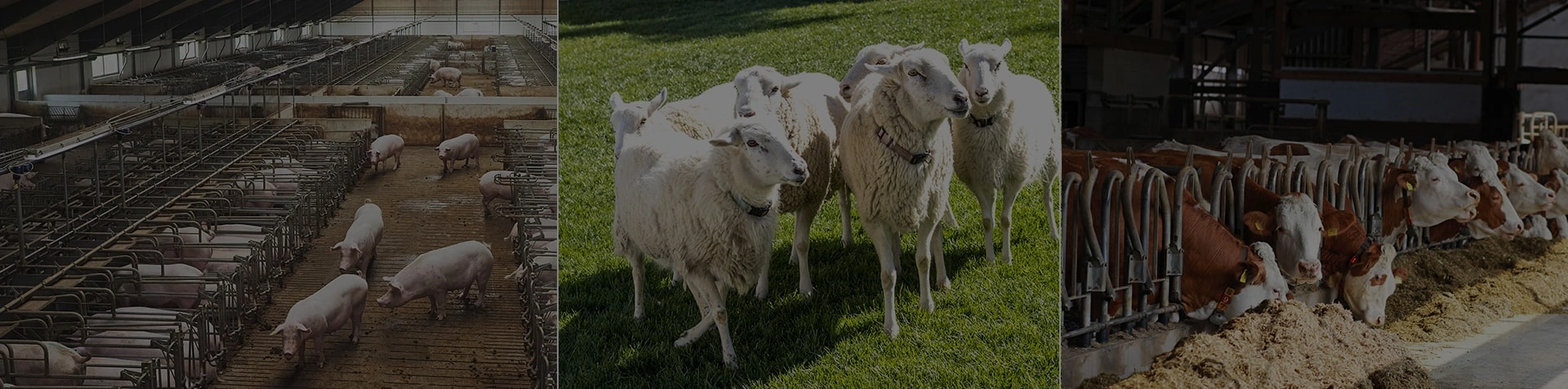 Решения-banner