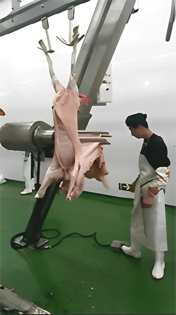 Основные характеристики