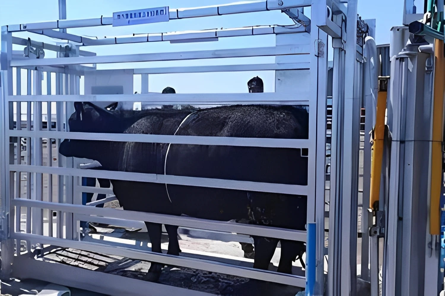 Система включает в себя