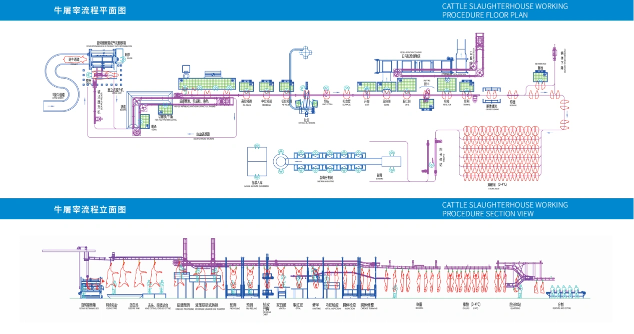 Процедура убоя скота – (часть 5)