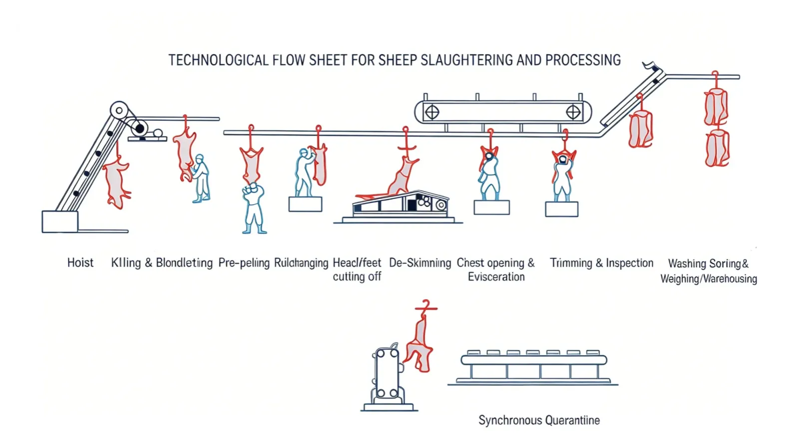 Complete Sheep Slaughtering Line Process  Qingdao Zhongbang Haotong Machinery Co., Ltd.